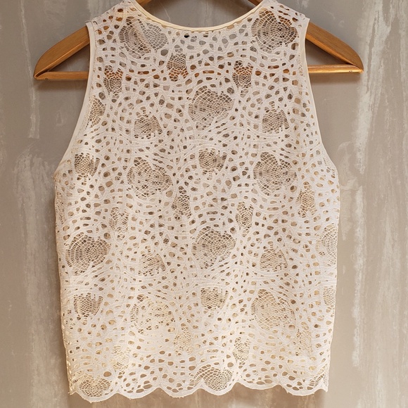 Zara Lace  Semi Crop Top - Picture 6 of 6